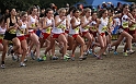 2010CIF XC GD3-0450